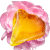 db08986bd5c1b86b3822e35acf7ed75a.png