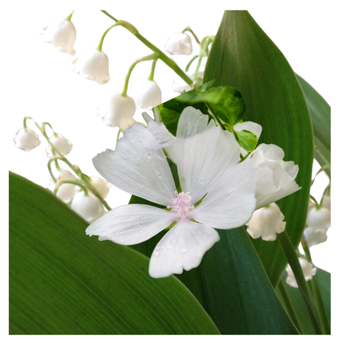 ef9e26a26769454df60598630eb1fb24.png