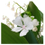 ef9e26a26769454df60598630eb1fb24.png