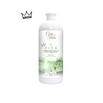 Corri d'Italia płyn do płukania PISA 1000 ml