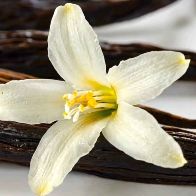 Tesori dOriente Mgiełka Zapachowa do Ciała Vanilla 200ml
