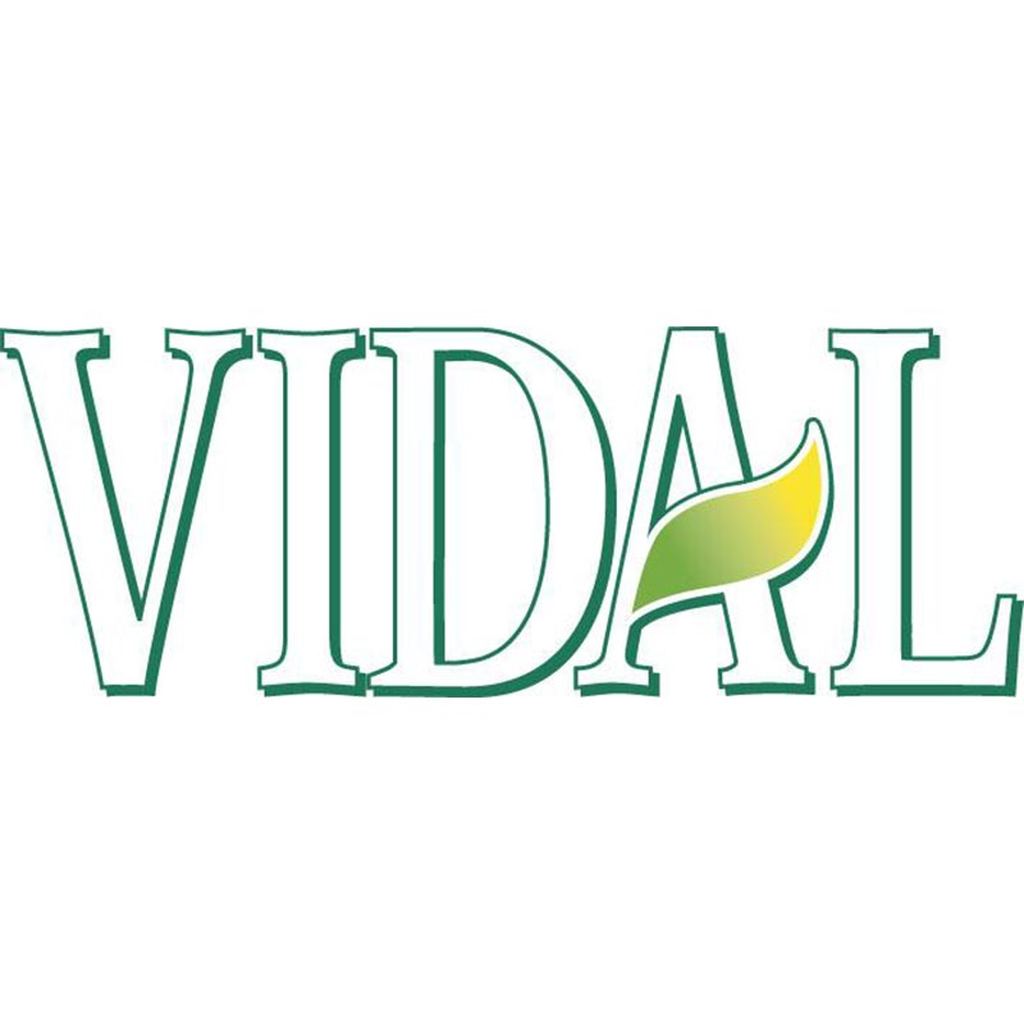 Producent: Vidal (przejdź do produktów)
